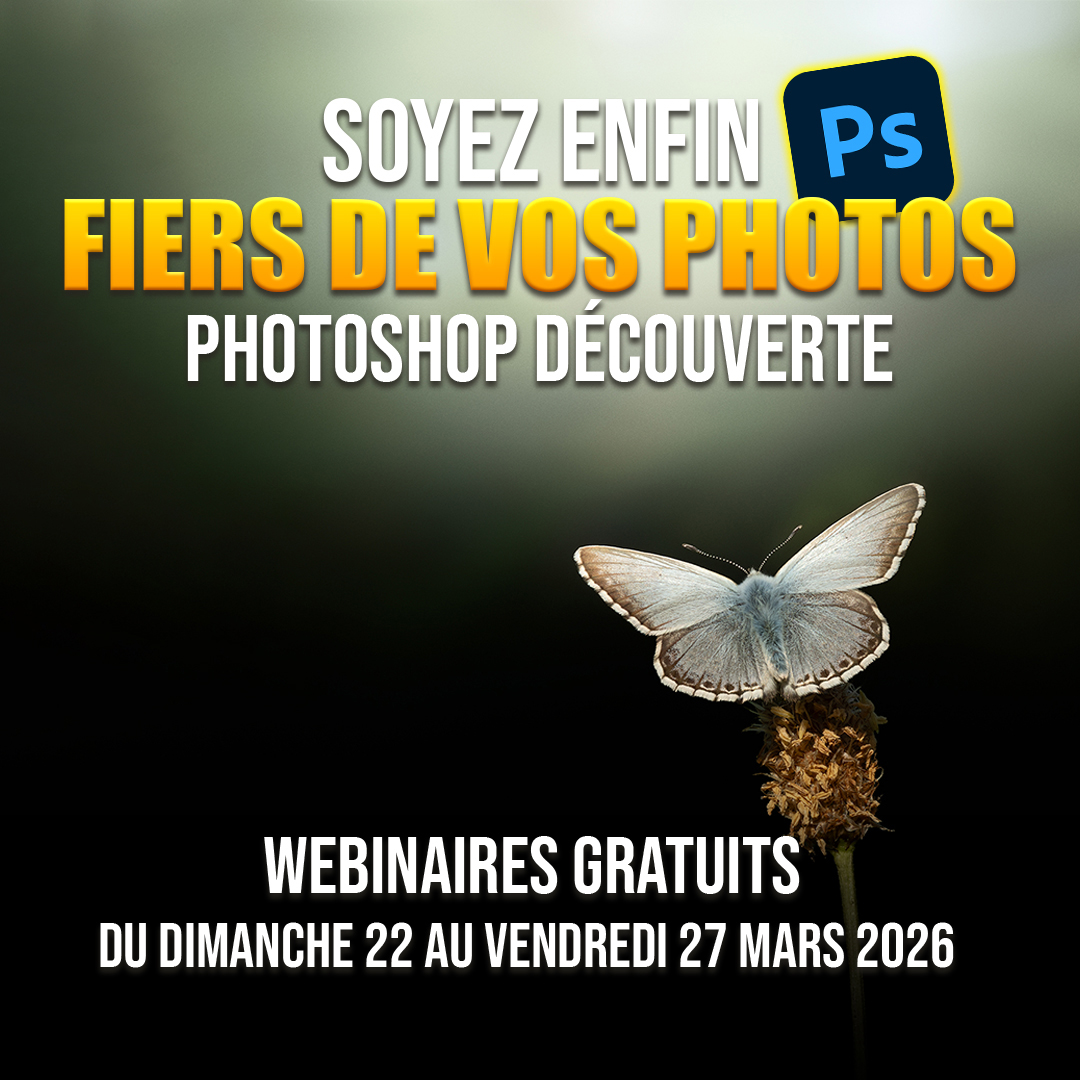 Semaine Photoshop niveau découverte